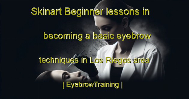 Skinart Beginner lessons in becoming a basic eyebrow techniques in Los Riegos area | EyebrowTraining | EyebrowClasses | SkinartTraining-Mexico